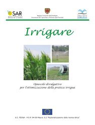 Irrigare - Fertirrigazione.it