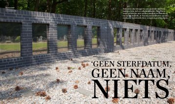 Begraafplaatsen_ggz-instellingen - Marty PN van Kerkhof