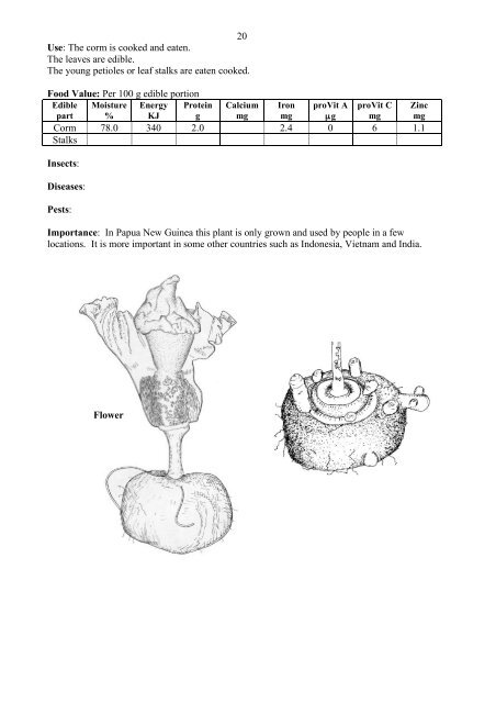 Food Plants International