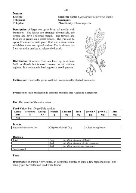 Food Plants International