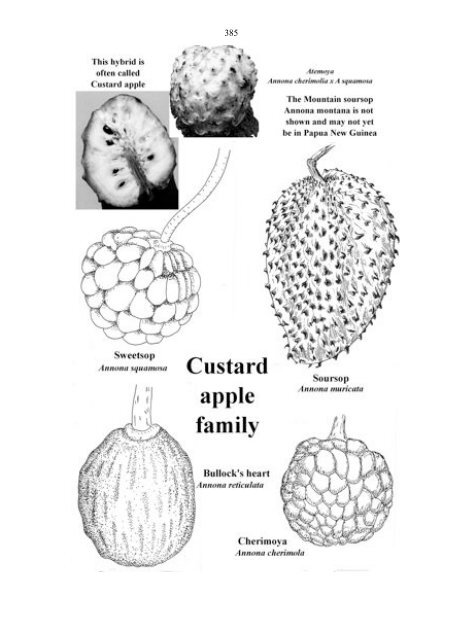 Food Plants International