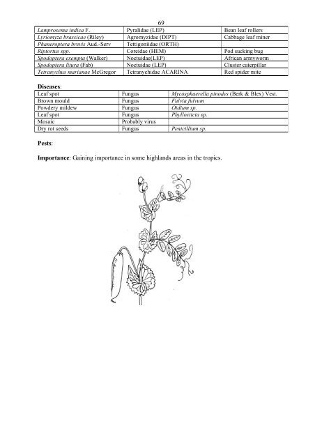 Food Plants International