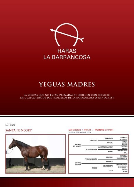 YeGUAS MADRES - Haras Godiva