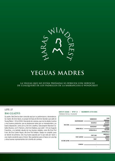 YeGUAS MADRES - Haras Godiva