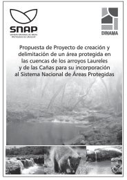 Propuesta de Ingreso Laureles-Cañas - Página de Snap