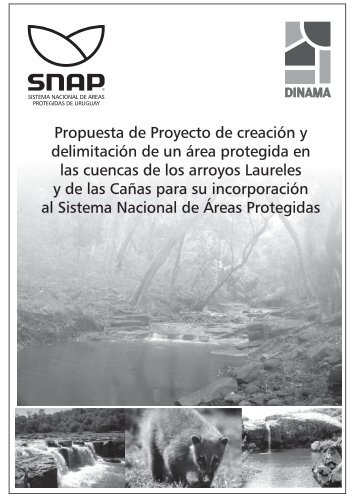 Propuesta de Ingreso Laureles-Cañas - Página de Snap