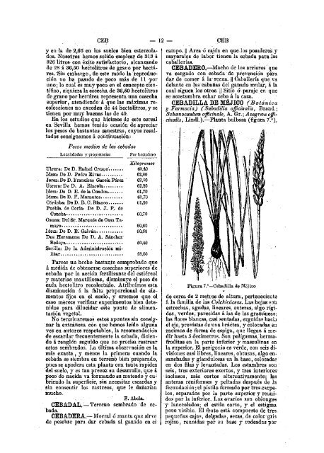 Sementera: 312 litros de grano - citaREA