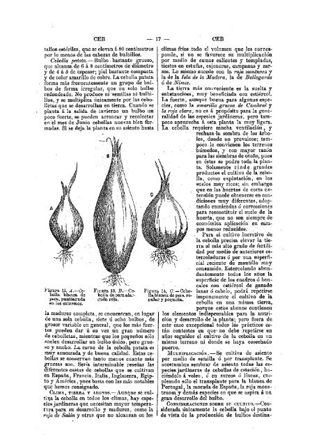 Sementera: 312 litros de grano - citaREA