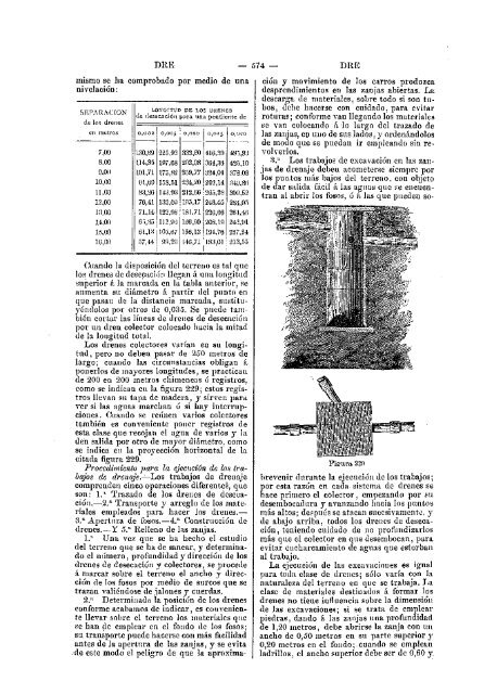 Sementera: 312 litros de grano - citaREA