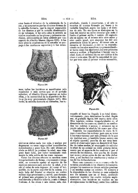 Sementera: 312 litros de grano - citaREA