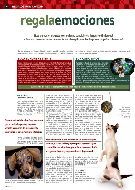 ACUARIOFILIA: Un killi para iniciarse - especies