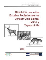 2008 Directrices Estudios Poblacionales.pdf
