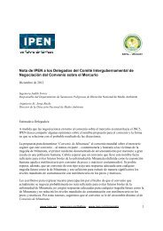 Spanish templ- IPEN INC5 Nota a los Delegados Dec 2012Spanish