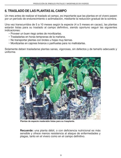 Producción de árboles frutales y maderables en viveros - FHIA