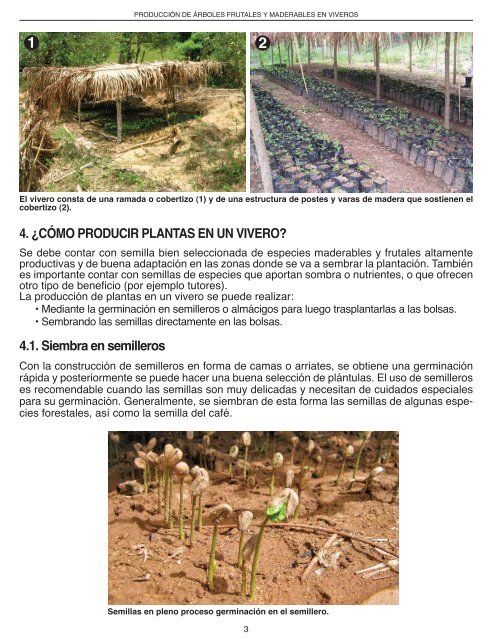 Producción de árboles frutales y maderables en viveros - FHIA