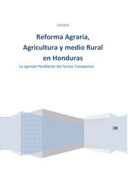 Reforma Agraria, Agricultura y medio Rural en Honduras