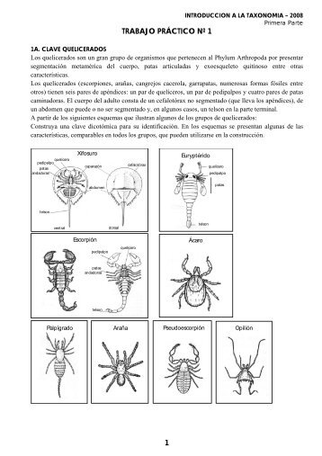 1 trabajo práctico nº 1 - Facultad de Ciencias Naturales y Museo