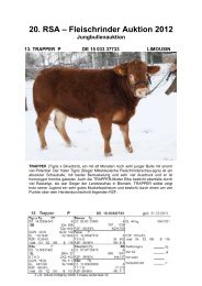 20. RSA ? Fleischrinder Auktion 2012 - Rinderzuchtverband ...