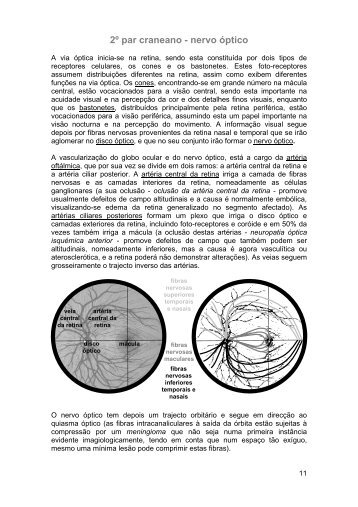 2º par craneano - nervo óptico