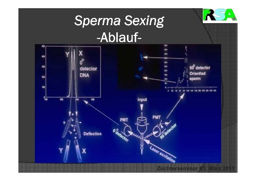 Sperma Sexing