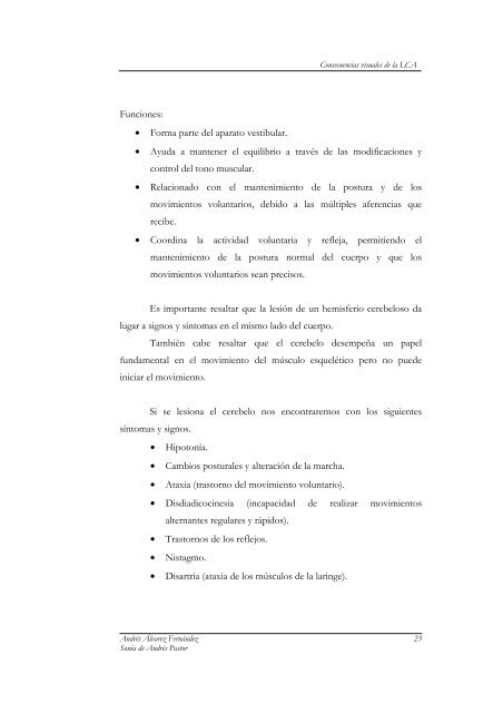 consecuencias visuales de la lesión cerebral adquirida - Fundación ...