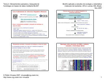 Tema 2: Alineamientos pareados y búsqueda de homólogos en ...