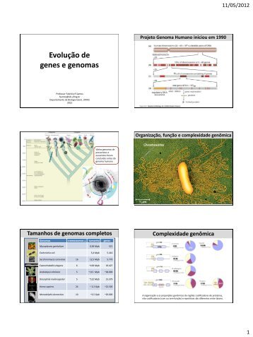 Evolução de genes e genomas - ICB - UFMG