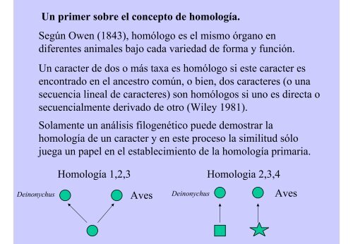 HOMOLOGÍA DE LOS DÍGITOS DE LA MANO DE LAS AVES (1,2,3 ...