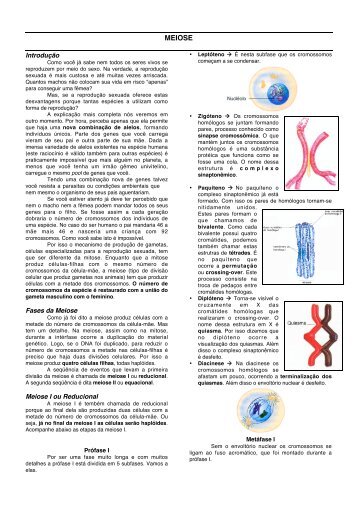 MEIOSE - Prof. Dorival