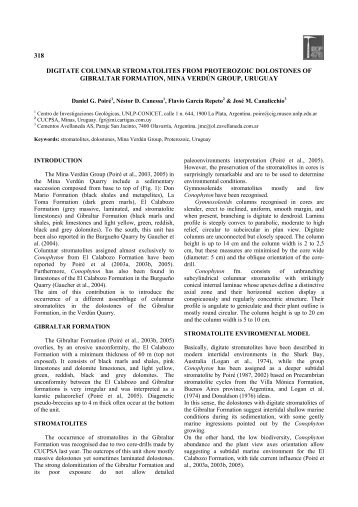 318 digitate columnar stromatolites from proterozoic dolostones of ...