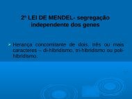 2ª Lei, Interação de genes não alelos