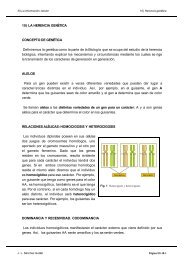 10) LA HERENCIA GENÉTICA CONCEPTO DE ... - IES Pando