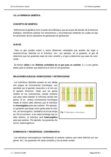 10) LA HERENCIA GENÉTICA CONCEPTO DE ... - IES Pando