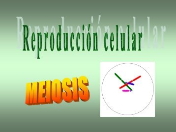 Meiosis - ies "poeta claudio rodríguez"