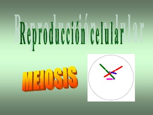 Meiosis - ies "poeta claudio rodríguez"