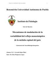 tesisfin Gerardo - Instituto de Fisiología - Benemérita Universidad ...