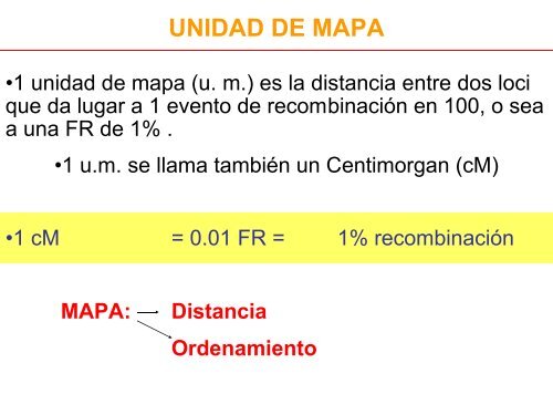 T8 LIGAMIENTO.pdf