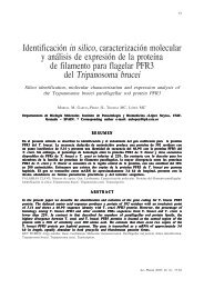 Identificación in silico, caracterización molecular y análisis de ...