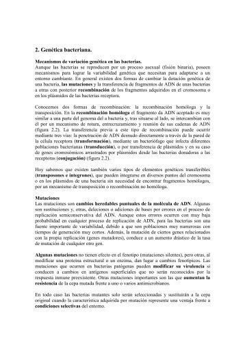 recombinacin bacteriana essay Recombinacin bacteriana essay english university college an overview of the tragic and satirical elements of macbeth a play by william shakespeare. recombinacin bacteriana essay Recombinacin bacteriana essay english university college an overview of the tragic and satirical elements of macbeth a play by william shakespeare.
