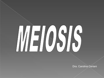 Meiosis 2011.pdf