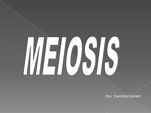 Meiosis 2011.pdf