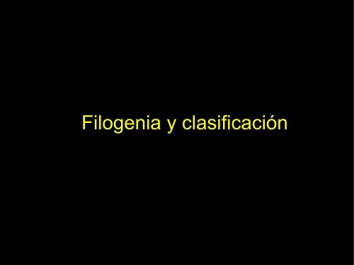Filogenia y clasificación