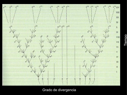 Filogenia y clasificación