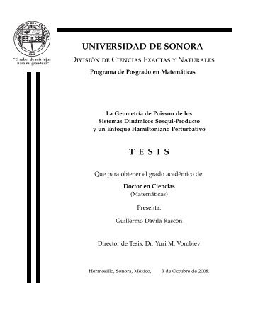 UNIVERSIDAD DE SONORA T E S I S - Posgrado en Matemáticas ...