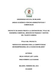 114 asesoria para la competitividad microempresarial en la