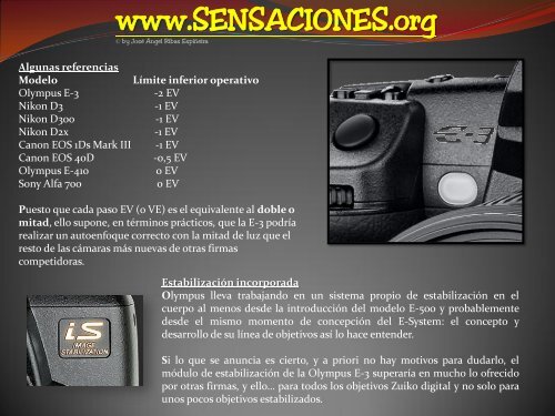 Pulpo de Anillos AZULES - SENSACIONES.org
