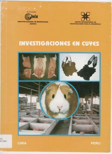 INVESTIGRCIONES EN CUYES