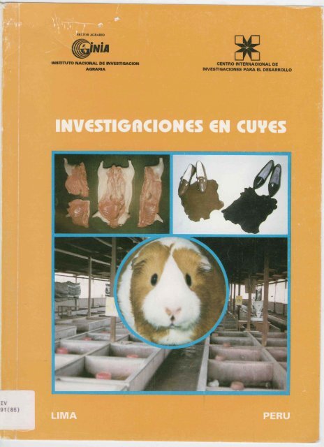 INVESTIGRCIONES EN CUYES