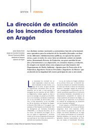 La dirección de extinción de los incendios forestales en Aragón