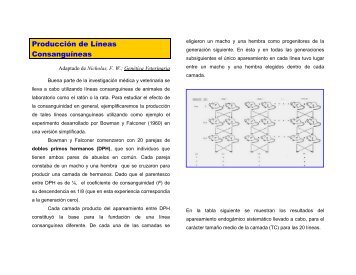 Producción de Líneas Consanguíneas - Genética